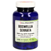 Boswellia serrata 200 mg GPH Kapseln